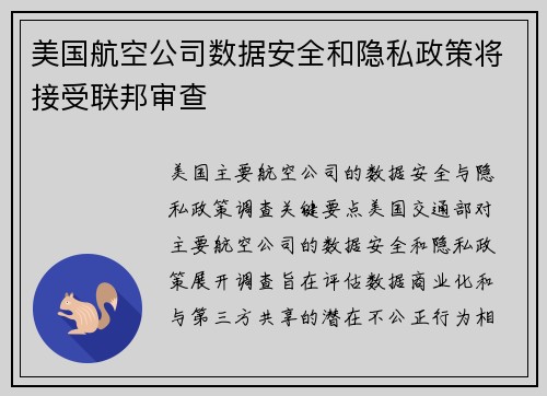美国航空公司数据安全和隐私政策将接受联邦审查 
